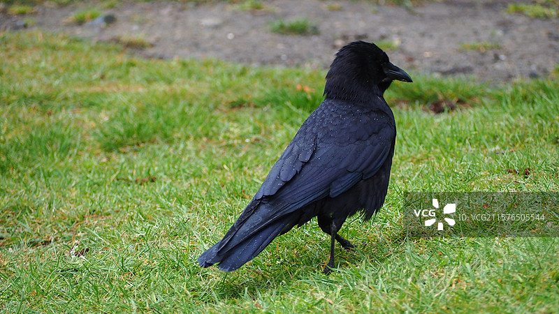 巴尼特海洋公园图片素材