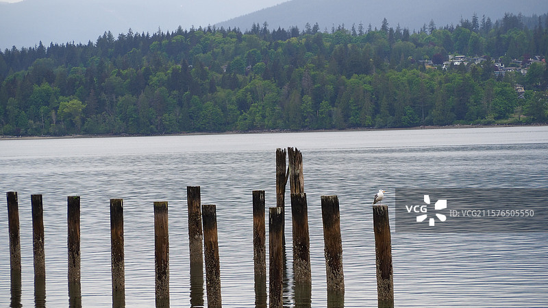 巴尼特海洋公园图片素材