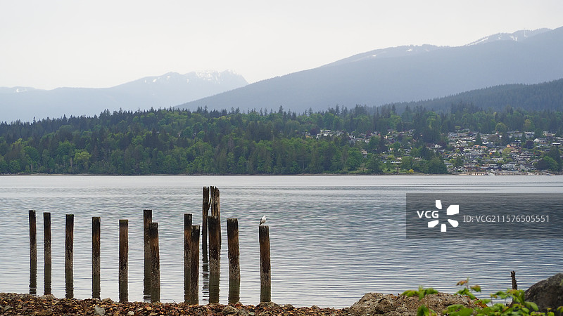 巴尼特海洋公园图片素材