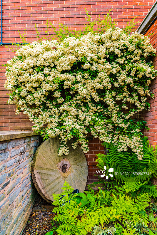 英国英格兰沃里克郡莎士比亚故居图片素材