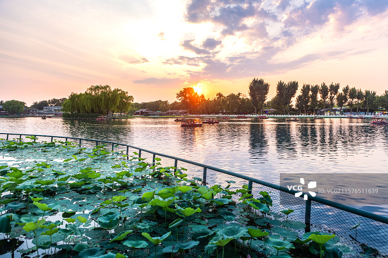 北京什刹海夕阳彩霞白云暖阳水面倒影荷花金锭桥柳树蓝天光线图片素材