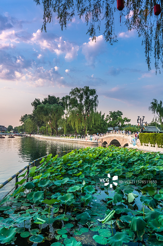北京什刹海夕阳彩霞白云暖阳水面倒影荷花金锭桥柳树蓝天光线图片素材