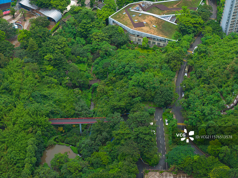 深圳东部华侨城，海菲德小镇，航拍自然风光！图片素材