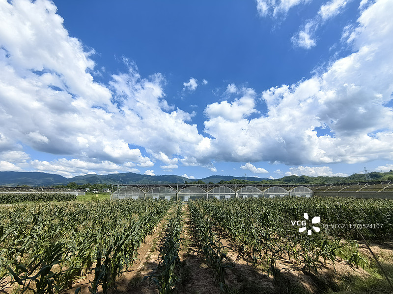 美丽乡村图片素材