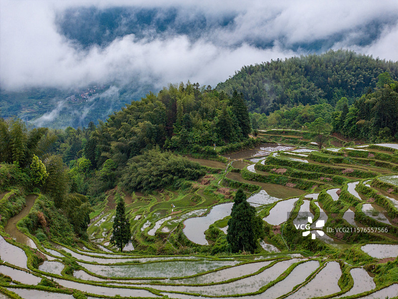 浙江省丽水市云和县崇头镇云和梯田景区航拍各种图片图片素材