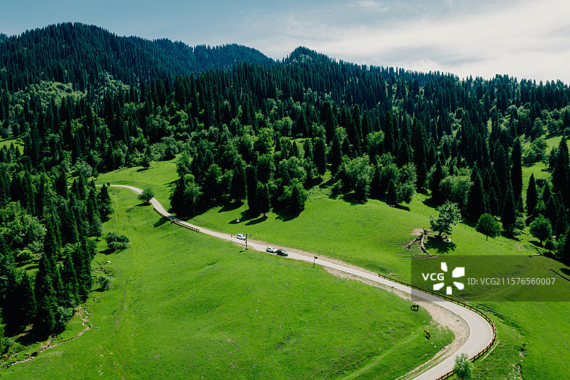 航拍森林公路 蜿蜒 绿色 辽阔 生态 汽车性能 露营 俯瞰 新能源 低碳 高空 地形 几何美 风景图片素材