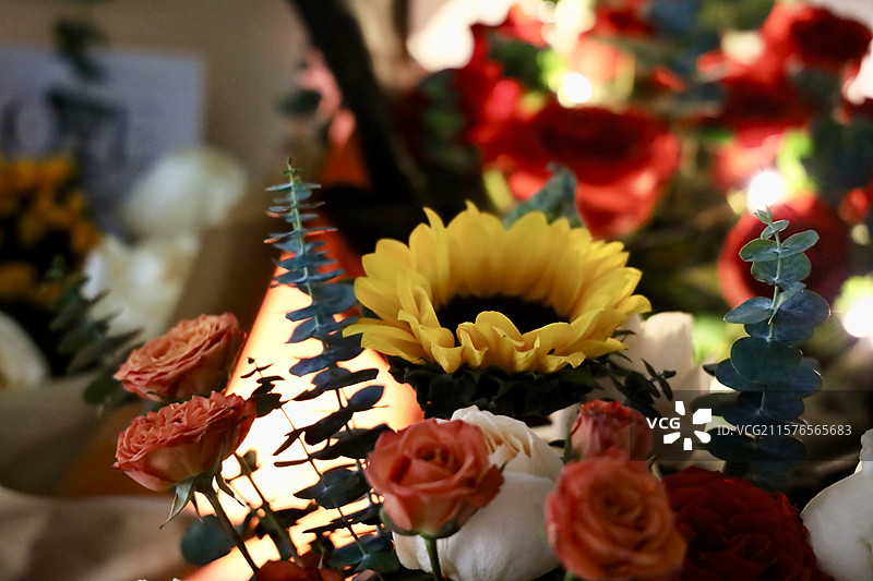 向日葵图片素材