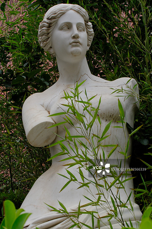校园雕塑。大理石女性雕像。断臂维纳斯。竹林。竹子图片素材