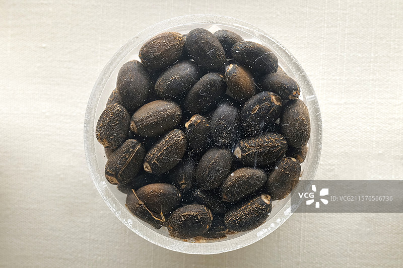 油桐籽 国家自然博物馆植物世界展厅图片素材