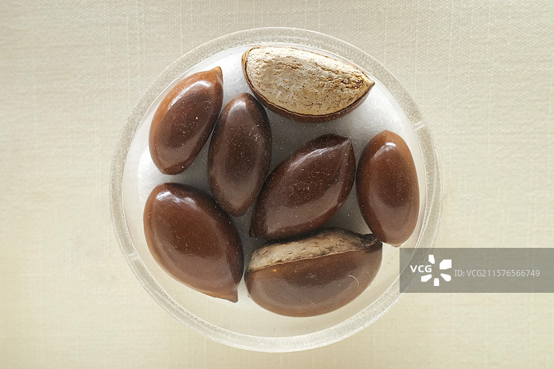 蛋黄果 国家自然博物馆植物世界展厅图片素材