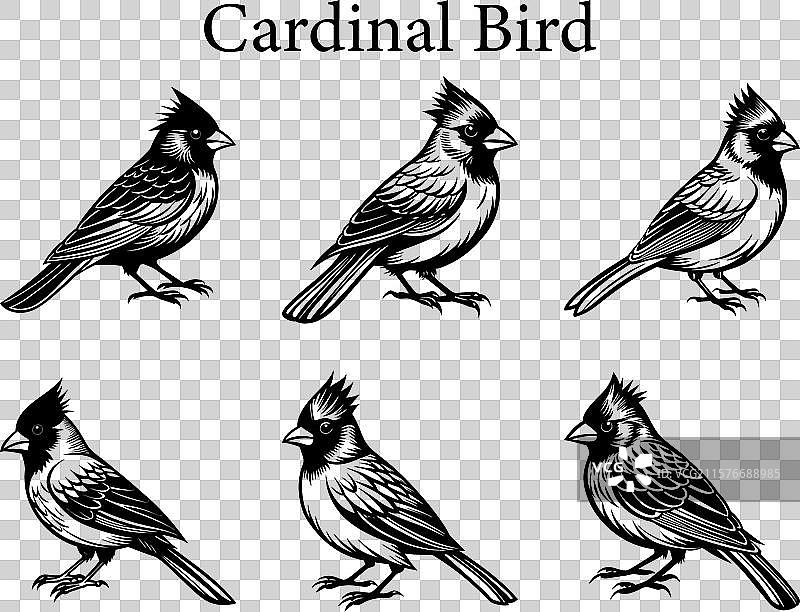 一组红雀剪影图片素材