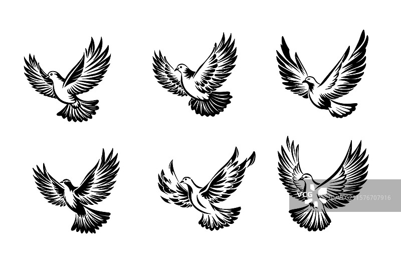 鸽子或白鸽标志图标设计，独立展示图片素材