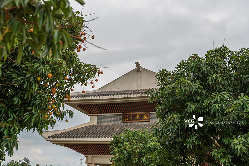 高州荔枝主题公园（柏桥服务区、荔枝博物馆），中国广东省茂名市高州市根子镇图片素材