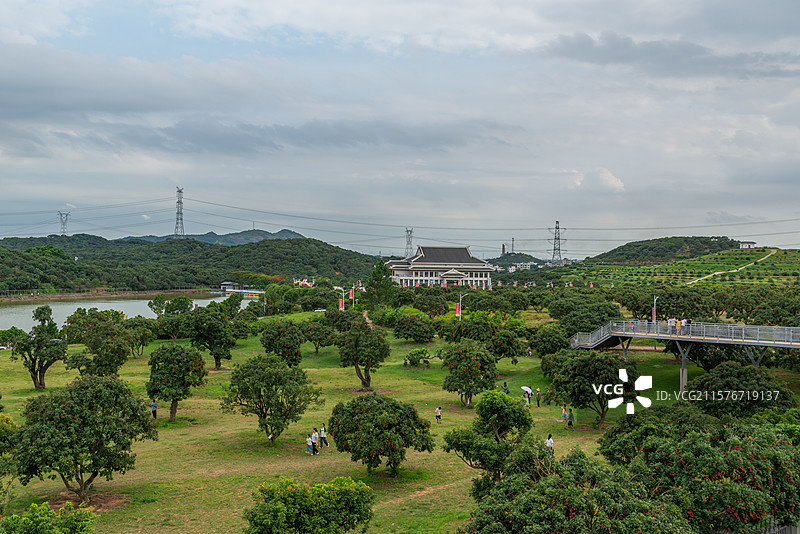 高州荔枝主题公园（柏桥服务区、荔枝博物馆），中国广东省茂名市高州市根子镇图片素材
