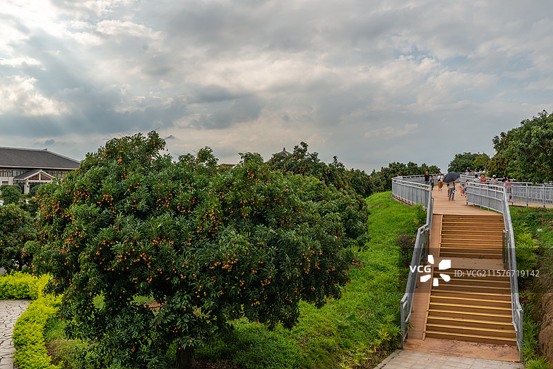 高州荔枝主题公园（柏桥服务区、荔枝博物馆），中国广东省茂名市高州市根子镇图片素材