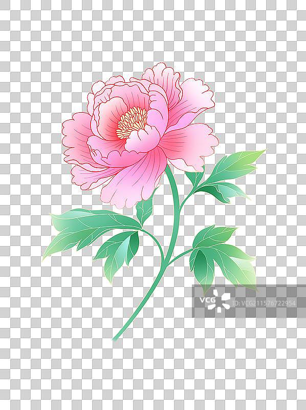 手绘花卉国花牡丹免抠元素图片素材