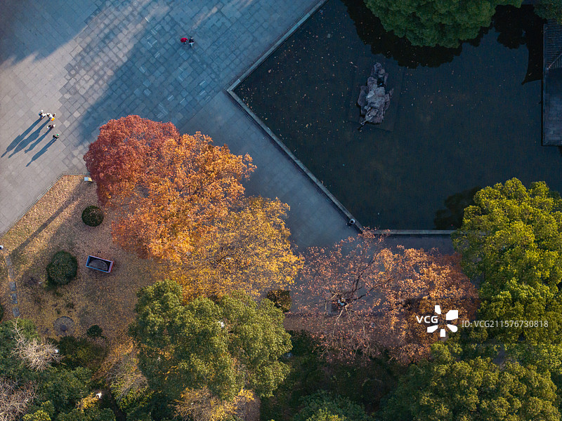 浙江宁波慈城古镇秋天风光图片素材