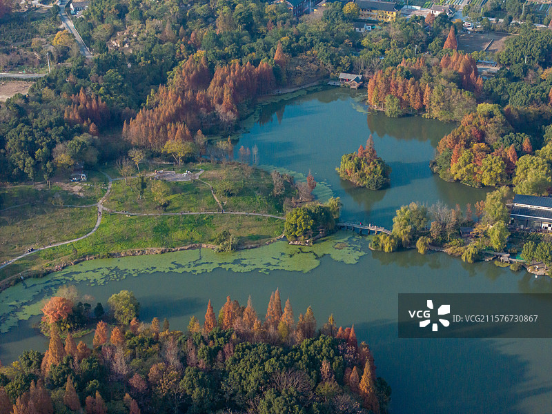 浙江宁波慈城古镇秋天风光图片素材