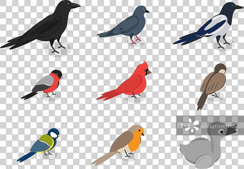 城市鸟类的3D等距平面图集图片素材