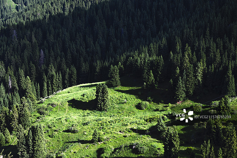 新疆伊犁伊昭公路安格列特达版观景平台美景图片素材