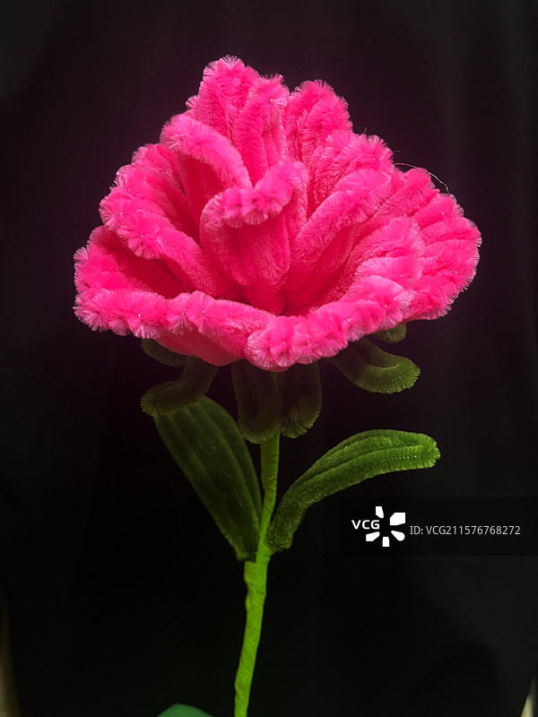 玫红色扭扭棒玫瑰花图片素材