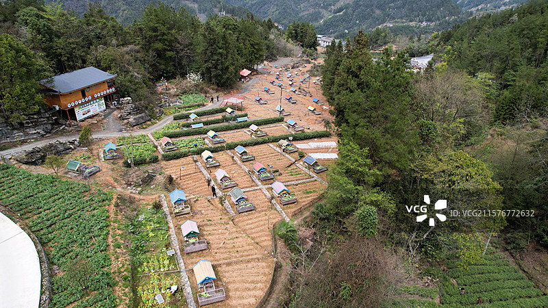 鸡舍养殖图片素材
