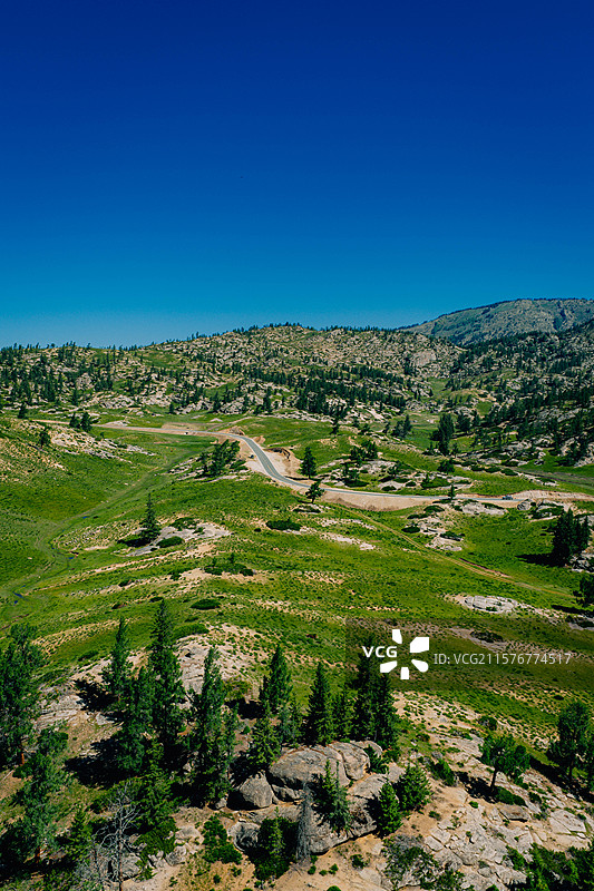 乡村振兴 惠农 田地 农业 畜牧业 蓝天白云 通透 新疆旅行 户外 露营 草原 牛羊 牛马 打工族图片素材