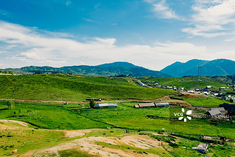 乡村振兴 惠农 田地 农业 畜牧业 蓝天白云 通透 新疆旅行 户外 露营 草原 牛羊 牛马 打工族图片素材