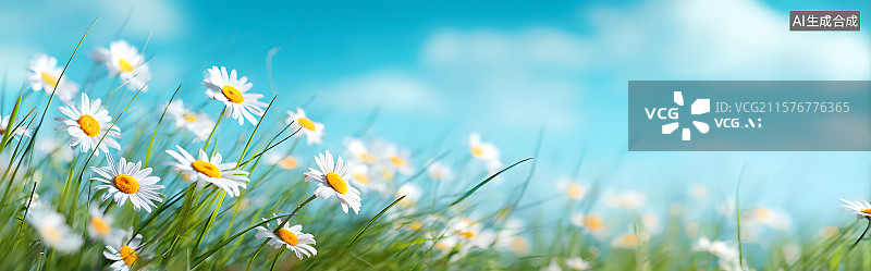 【AI数字艺术】特写野生雏菊在茂密的绿草中绽放，明亮的蓝天下自然阳光照射，宁静的夏日草地景观，浅景深。图片素材