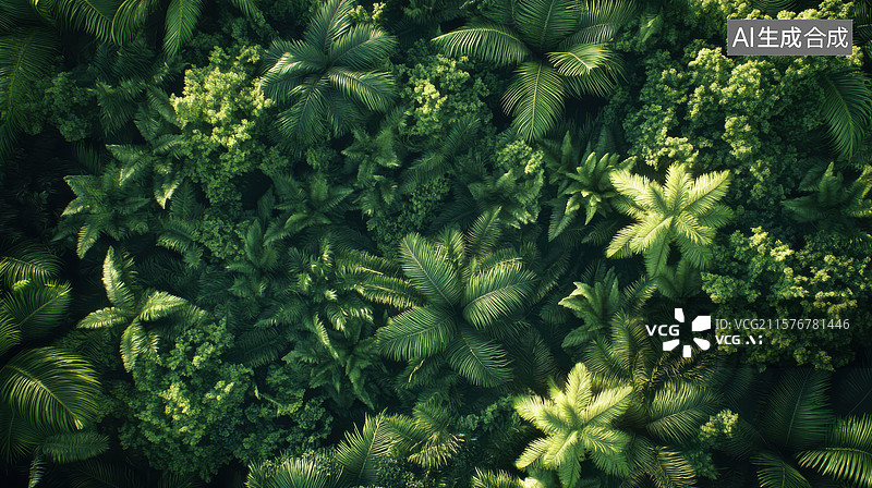 【AI数字艺术】热带雨林俯瞰图图片素材