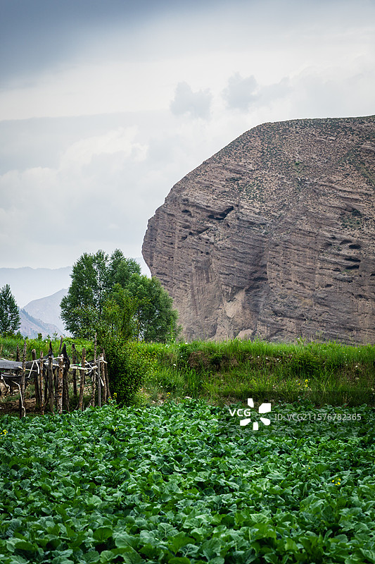 马牙雪山 碳窑沟 乌鞘岭 天祝小三峡 高山紫杜鹃 喜鹊岭 天祝藏族自治县 武威 天互公路 扎碾公路图片素材