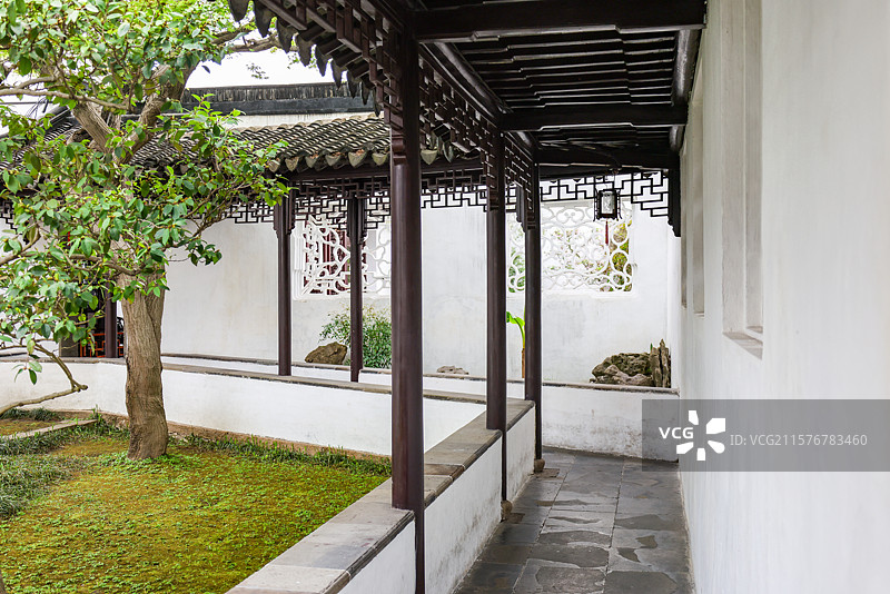 苏州园林之网师园园林建筑假山亭台楼榭花朵风光图片素材