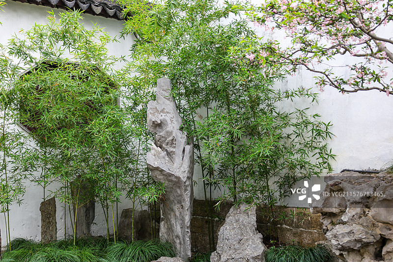 苏州园林之网师园园林建筑假山亭台楼榭花朵风光图片素材