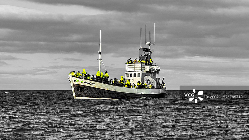 海上的绿色图片素材