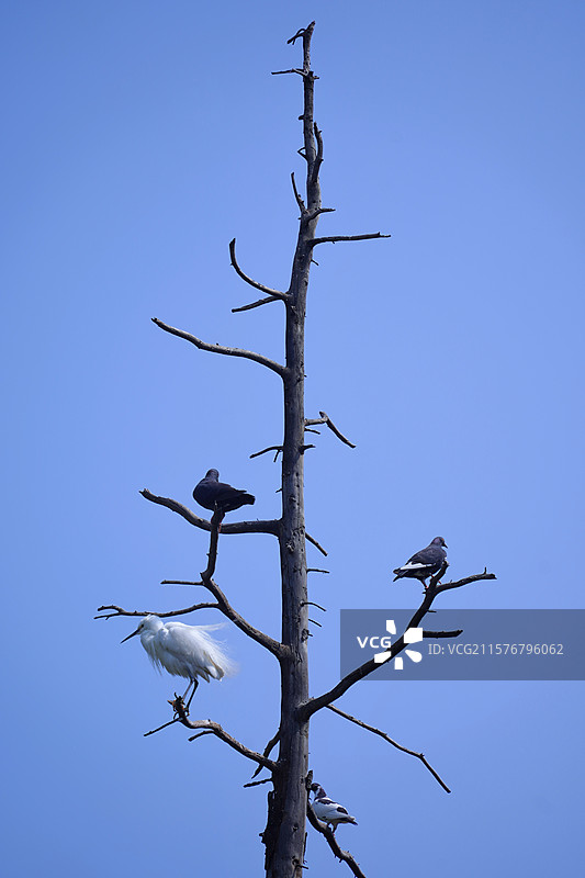 昆明动物园图片素材