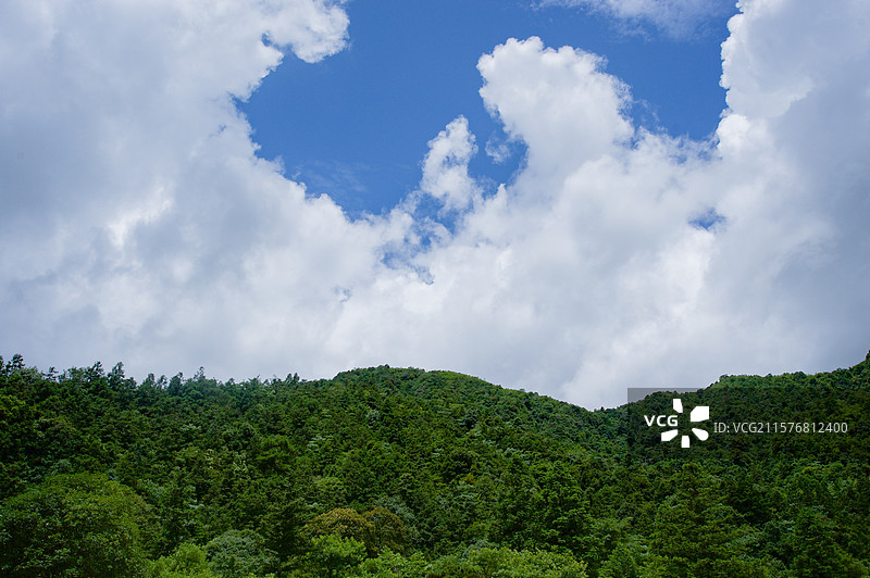 广西贺州姑婆山旅游区中的树林天空图片素材