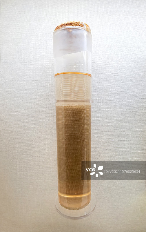 蓖麻油 国家自然博物馆植物世界展厅图片素材