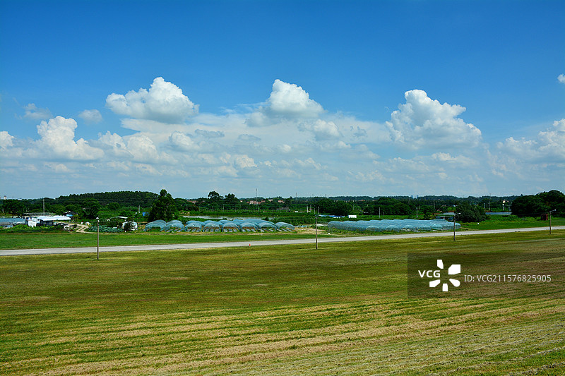 佛山北江大堤蓝天白云绿油油的草原好像走进宫崎骏的动漫世界图片素材