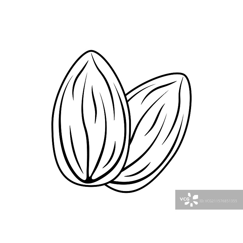 杏仁坚果轮廓图标线条设计图片素材