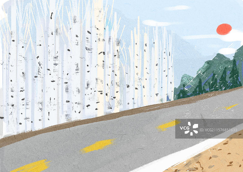 公路旁的白杨树图片素材