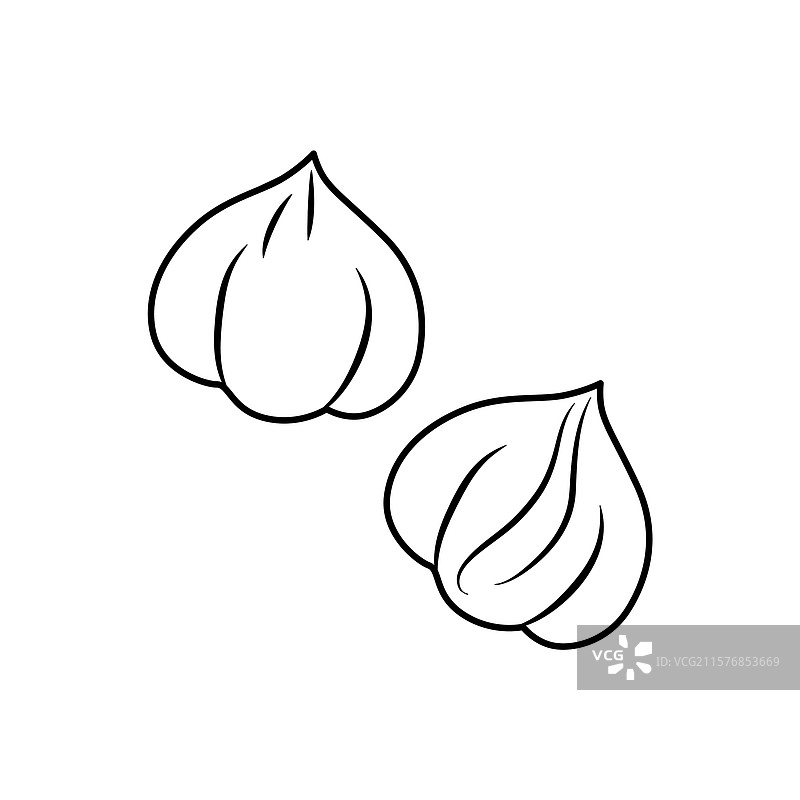 榛子轮廓图标线条风格图片素材