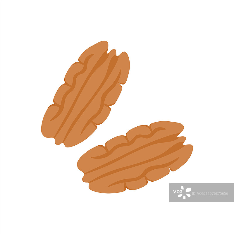 胡桃是一种普通的坚果，果仁是天然的。图片素材