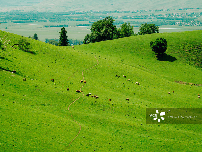 航拍 草原 休闲 弯道 滑草 消费 自然 风景  背景 游戏 素材图片素材