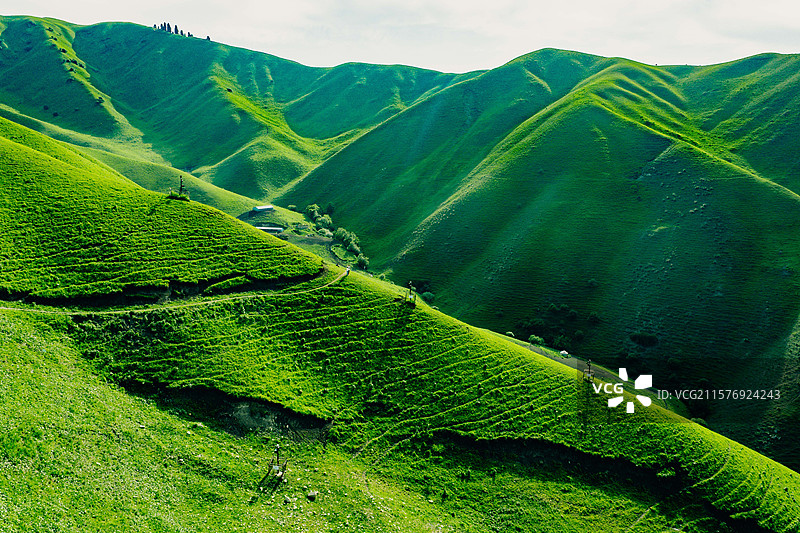 航拍 草原 休闲 弯道 滑草 消费 自然 风景  背景 游戏 素材图片素材