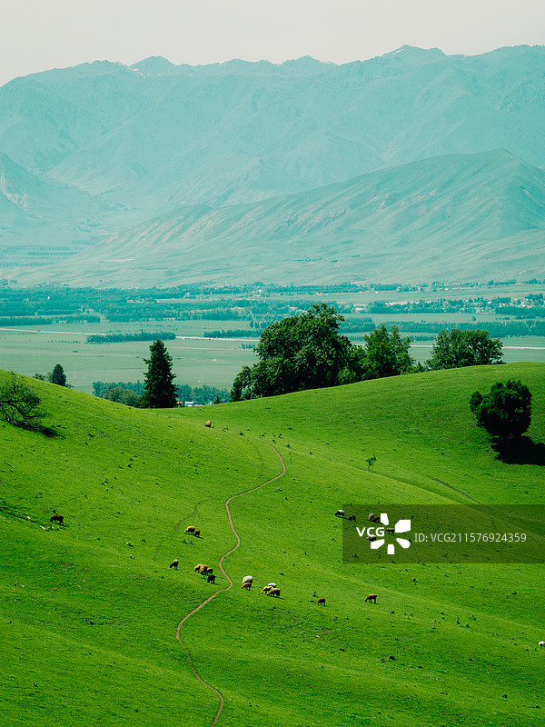 航拍 草原 休闲 弯道 滑草 消费 自然 风景  背景 游戏 素材图片素材