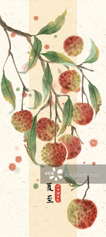 夏至荔枝节气国风插画图片素材