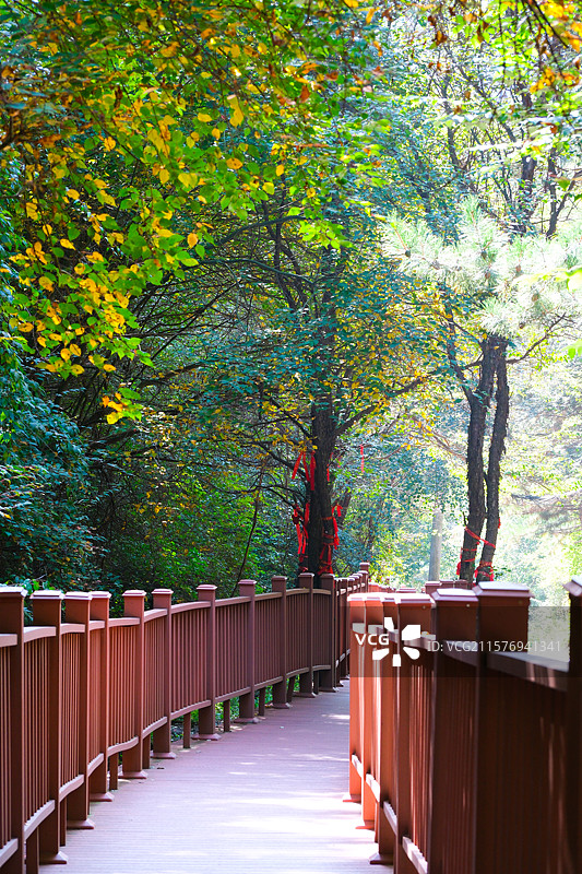 兰州石佛沟国家森林公园步道图片素材