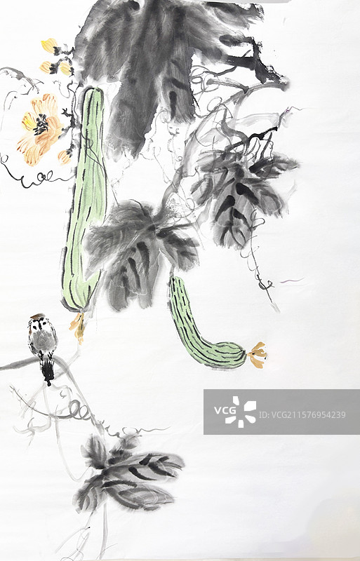 手绘 国画 丝瓜 蔬菜 麻雀 鸟图片素材