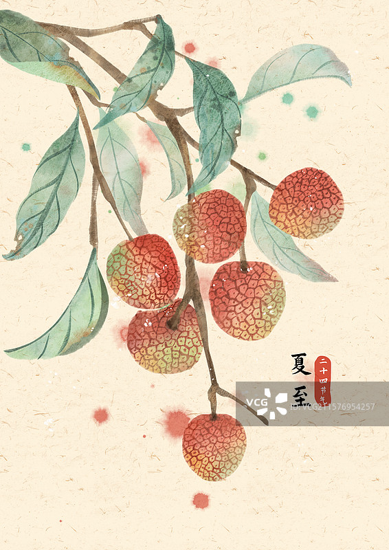 夏至荔枝节气国风插画图片素材