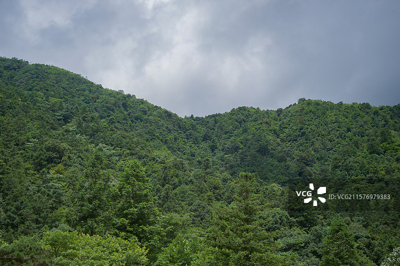 广西贺州姑婆山中的阴天下的森林与天空图片素材
